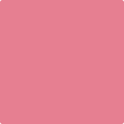 2004-40 Pink Starburst