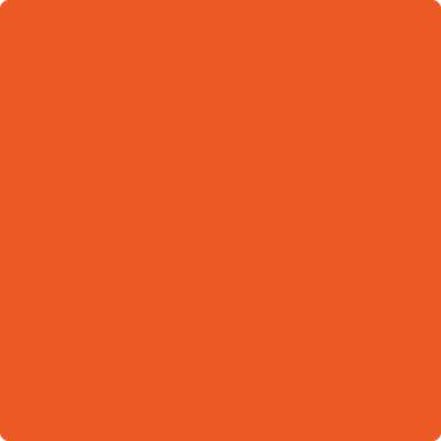 2014-10 Festival Orange Hot on Sale