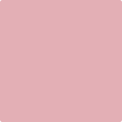 2005-50 Pink Eraser Discount