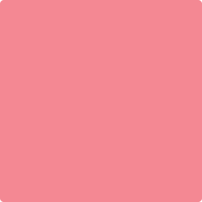 2002-40 Flamingo’s Dream