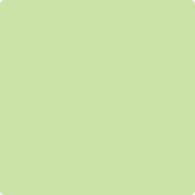 2031-50 Key Lime Hot on Sale