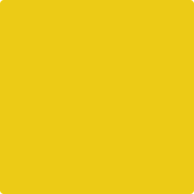 2023-10 Yolk on Sale