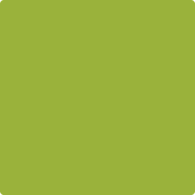 2027-10 Dark Lime on Sale