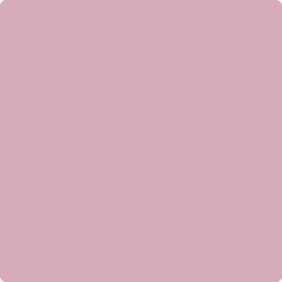 2082-50 Damask Rose Online now
