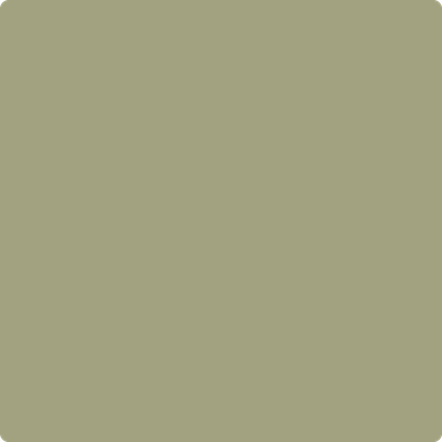 AF-405 Thicket Fashion