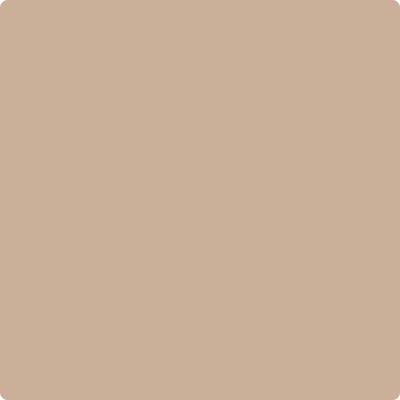 CC-366 Nubuck Fashion