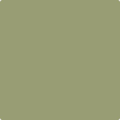 CC-668 Misted Fern Fashion