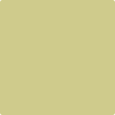 CSP-850 Green Hydrangea on Sale